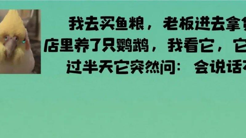 手工面包的灵魂：揭秘手工做面包的面粉选择